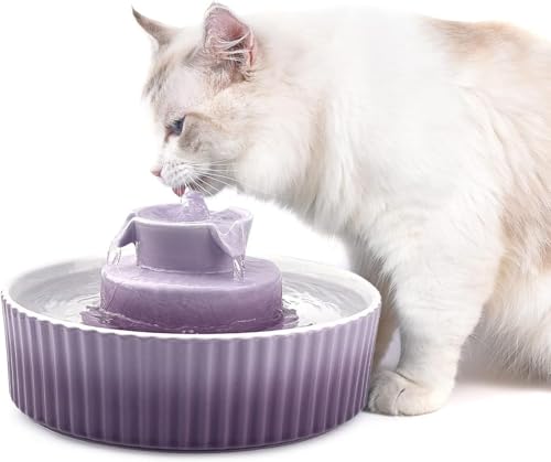 Ceramic Cat Fountain