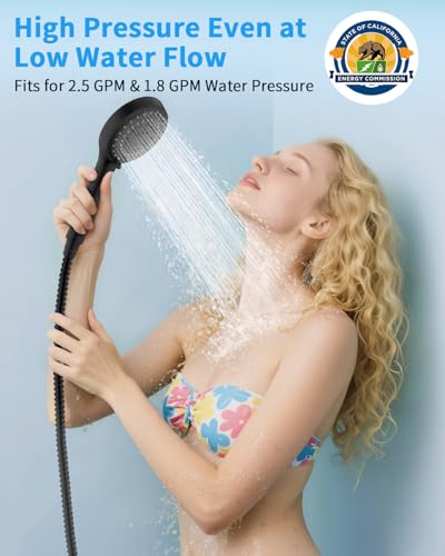 Shower Head with Handheld