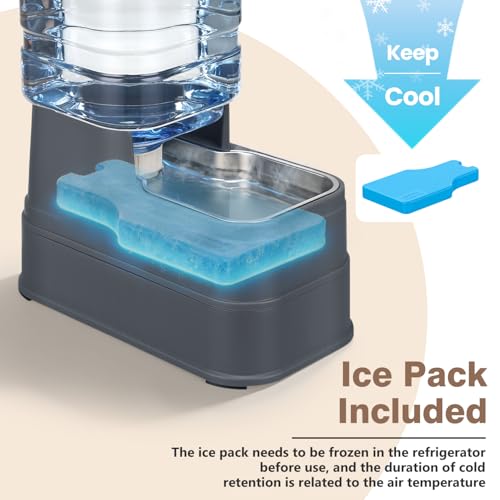 1.6 Gallon Pet Automatic Dog Water Dispenser Cat Gravity Waterer Feeder with Stainless Steel Bowl 8L Large Capacity Puppy Feeding Raised Bowls with Filter