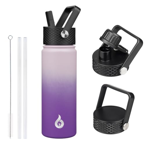 22oz Insulated Water Bottle with Straw Lid
