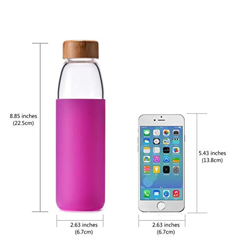 18 Oz Borosilicate Glass Water Bottles with Bamboo Lid