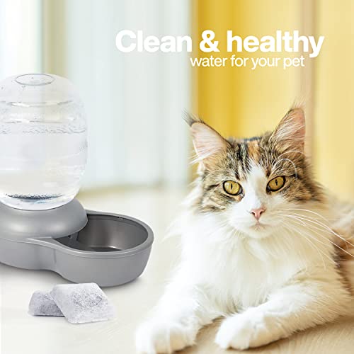 Pack of 24 Replacement Filters Compatible with Petmate Mason (24 Count)