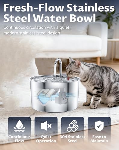 Dog Water Bowl