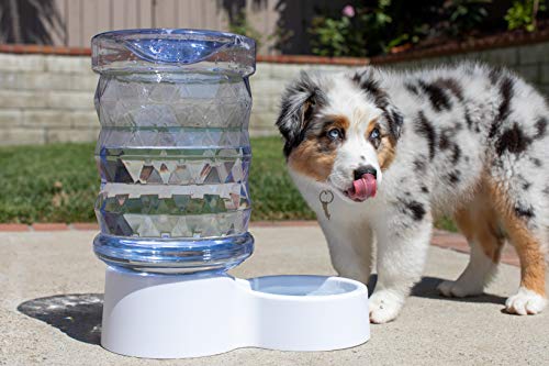 H2O Gravity Pet Water Dispenser