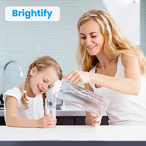 10"x2.5" 5 Micron Carbon Water Filter (4 Count)