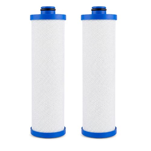 KW1 Filter for RV Water Systems 2 (2 Count)