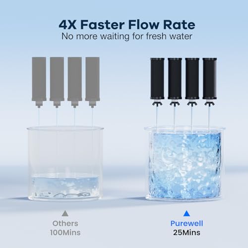 8-Stage PF-3&FL-2 Purification Elements Set, Replacement Filters for ProOne® and Berlkey® Filters, ProOne® Big+ or Berlkey® Big+ Water Filter System and Purewell System (8 Pack, K Series) (4 Count)
