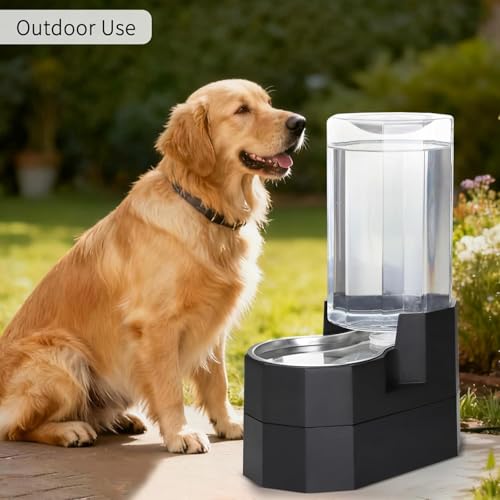 8L Raised Pet Water Dispenser