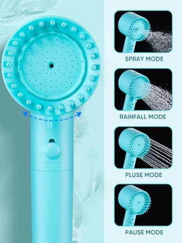 Filtered Shower Head with Handheld