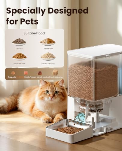 Automatic Cat Feeder & Water Dispenser