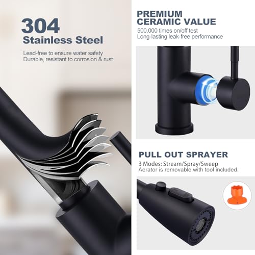 Black Kitchen Faucet and Water Filter Faucet Combo