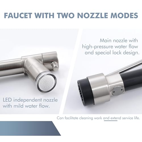 Dual Spout Kitchen Sink Faucet