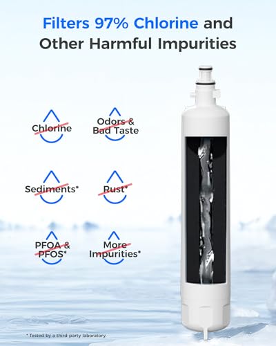 WD F19C Water Filter Replacement for GE® RPWFE® (2 Count)