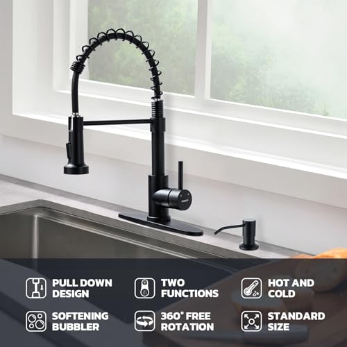 Kitchen Faucet with Soap Dispenser