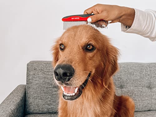 Dog Grooming Comb Set