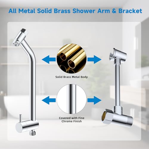 Filtered Dual Shower Heads with Handheld