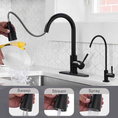 Black Kitchen Faucet and Water Filter Faucet Combo