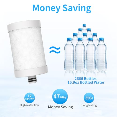 Stainless Steel Water Filter for Sink Faucet