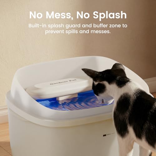 Cat Fountain 1 Gallon