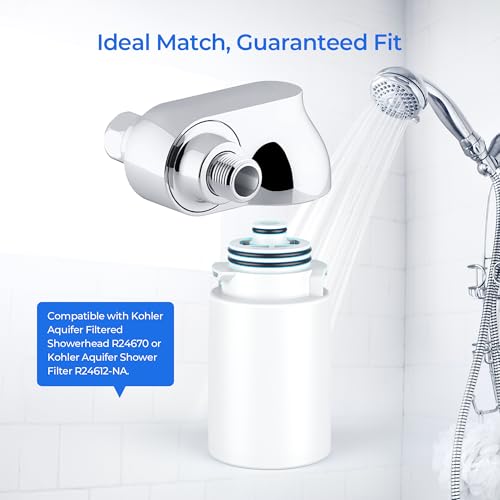 R24162 NA Showerhead Filter Replacement