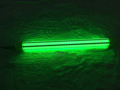 LED 100 Watt 10