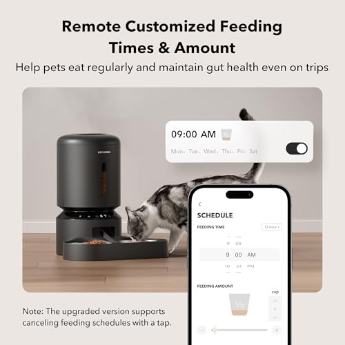Automatic Cat Feeder for 2 Cats