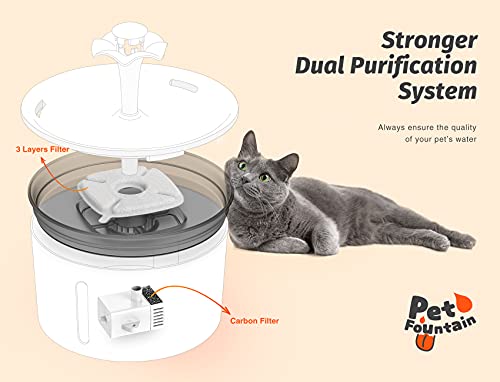 Cat Water Fountain