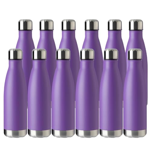 17oz Sport Water Bottle 12 Pack Vacuum Insulated Stainless Steel Leak (12 Count)