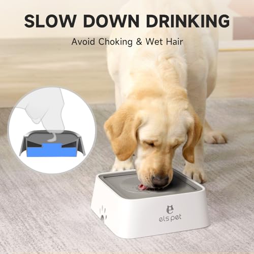 Grey 70oz 2L No Spill Dog Cat Bowl Carbon Filter Water Dispenser