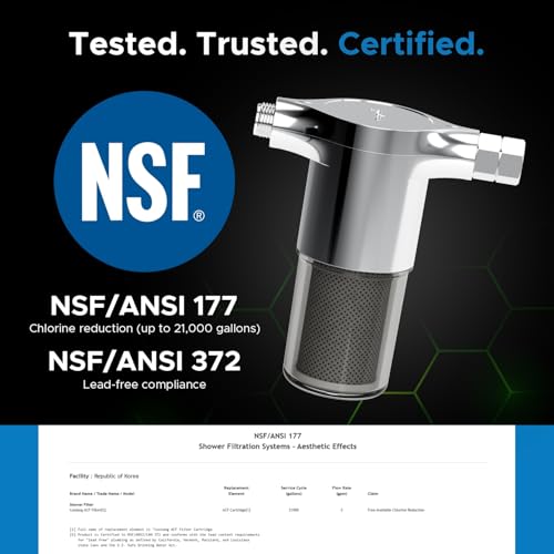 ACF Shower Filter