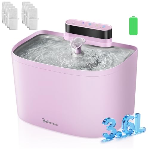 Cat Water Fountain