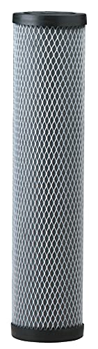 Pentair Pentek C1