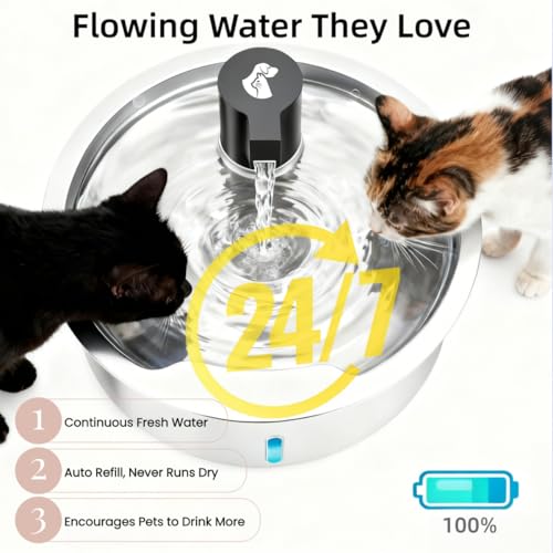 Dog Water Fountain