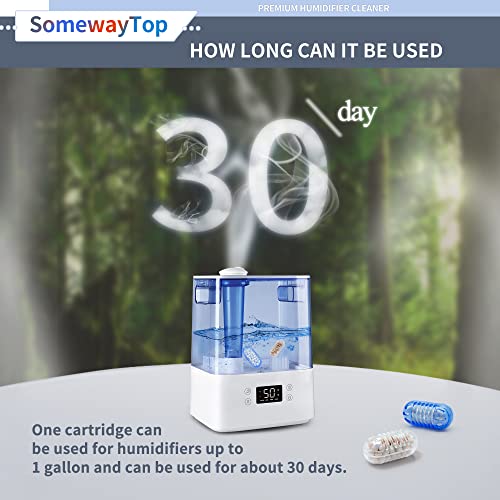 Humidifier Cleaner