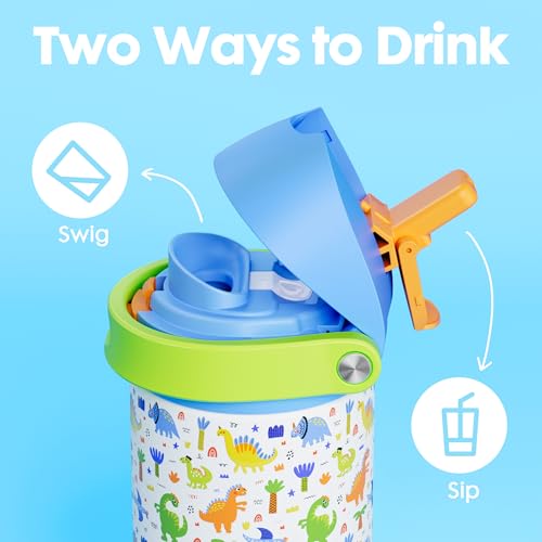 2 Pack 18 oz Insulated Stainledss Steel Water Bottles for Boys Girls (2 Count)