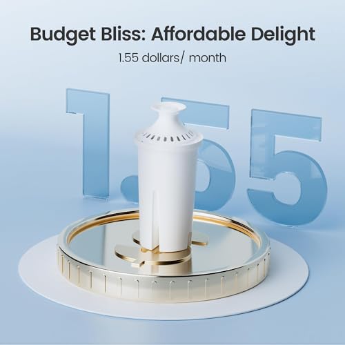 Filter Replacement for Brita® Water Pitcher & Dispenser (2 Count)