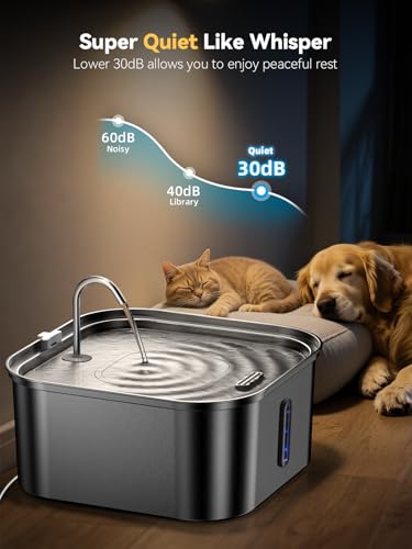 Large Dog Water Fountain 14L