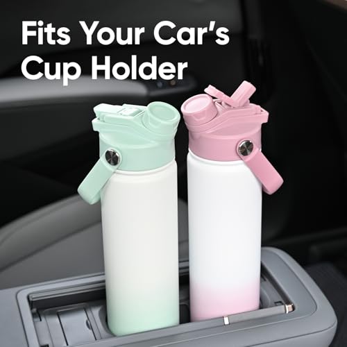 24 oz Insulated Water Bottle