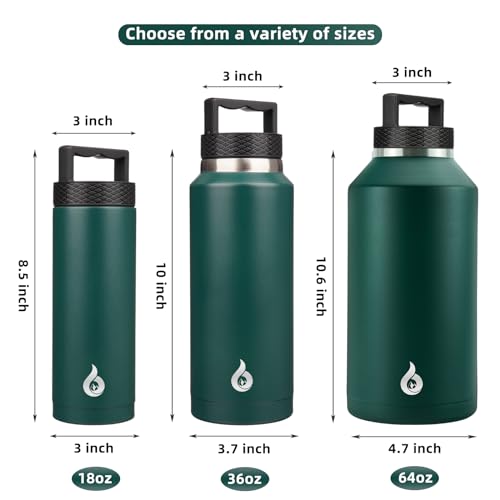 18oz Insulated Water Bottle Stainless Steel Water Bottle with Handle