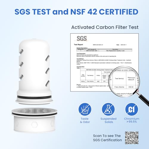 Water Filter Compatible with LifeStraw Pitcher (3 Count)