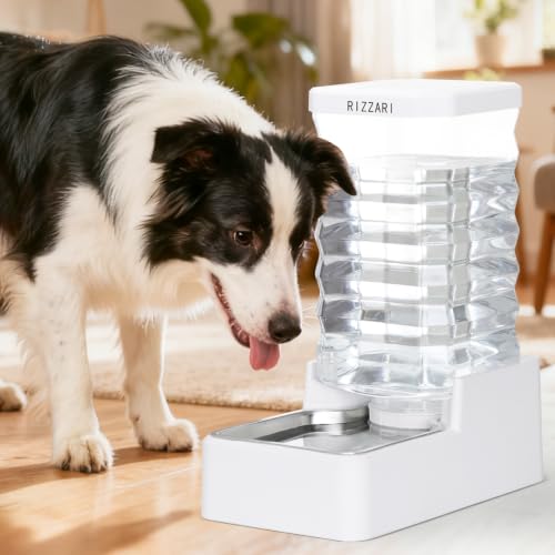 10L Filtered Dog Water Dispenser