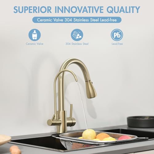 3 in 1 Kitchen Faucet with Water Filter and Pull Down Spraye