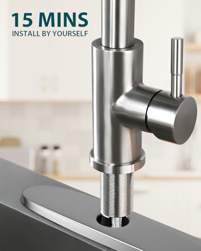 Kitchen Faucet