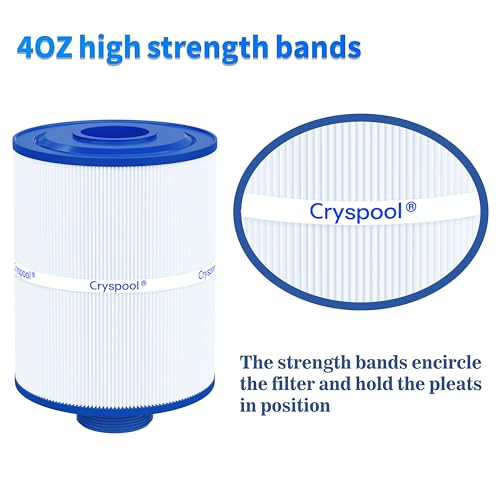 PAS28 Spa Filter Replaces PAS28 (2 Count)