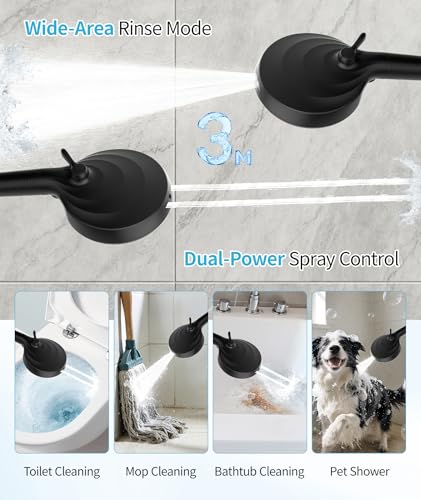 Filtered Shower Head with Handheld