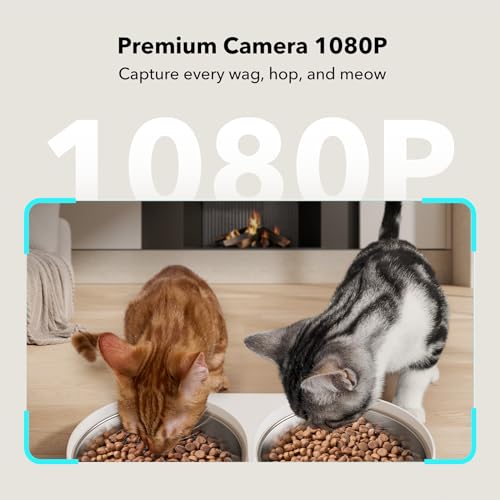Automatic Cat Feeder with Camera for Two Cats