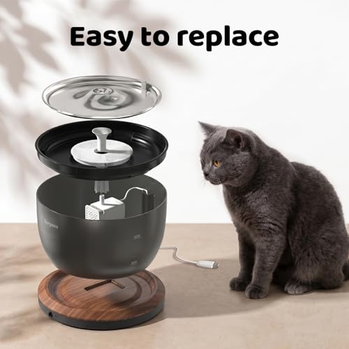 8 Pack Replacement Filters & 8 Pack Pre