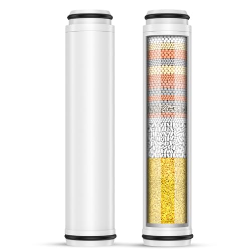 Shower Filter for Handheld Shower Head (2 Count)