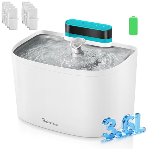 Cat Water Fountain
