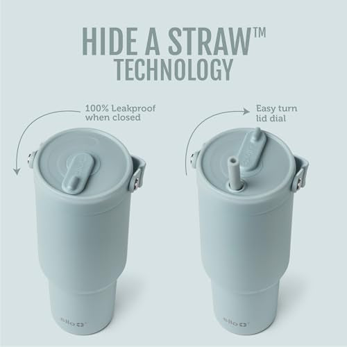 Oasis Go+ 32oz Insulated Stainless Steel Tumbler with Straw